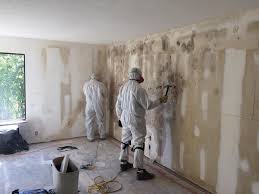 Asbestos and Lead Testing During Mold Inspection in Ohkay Owingeh, NM